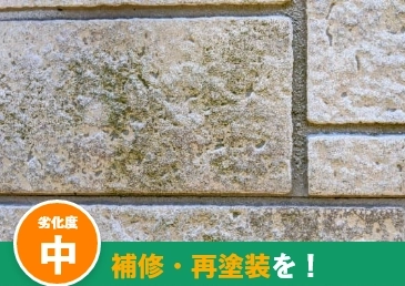 外壁や屋根のコケ・カビ