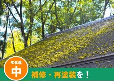 屋根のコケ・カビ